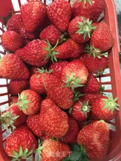 Make Strawberry juice step 0
