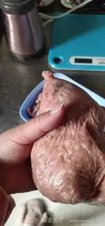 Make Ham sausage step 5