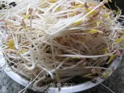 Make Auto green bean sprouts step 10
