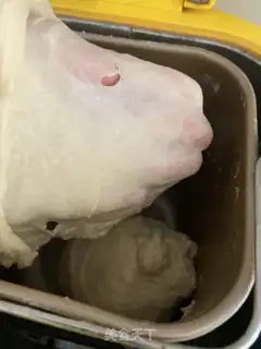 Make Lavender bread step 3