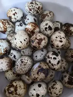 Make The quail eggs step 0