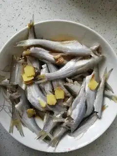 Make Vacuate fish step 2
