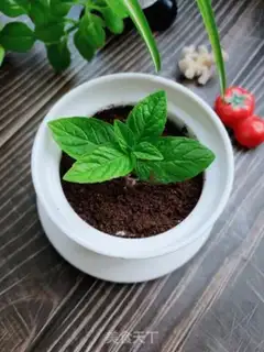Make Olio
