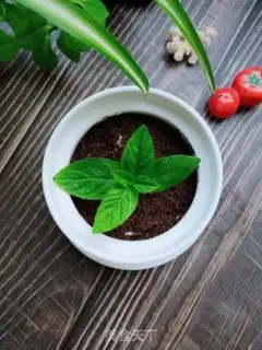 Make Olio
