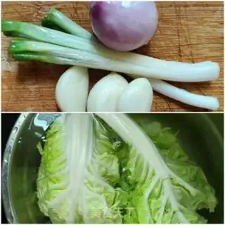 Make Pelican cabbage step 0