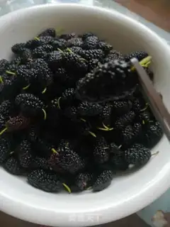 Make Sancho jam step 0