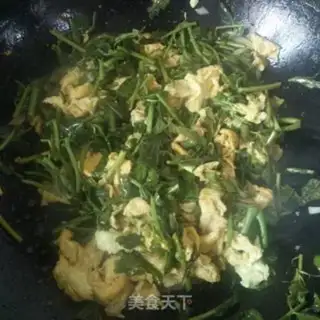 Make Fried eggs step 5