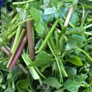 Make Garlic celery step 1