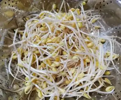 Make Soybean sprouts step 0
