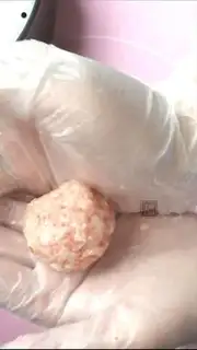 Make The rice ball step 11
