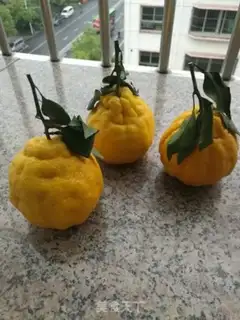 Make Lemon doesn