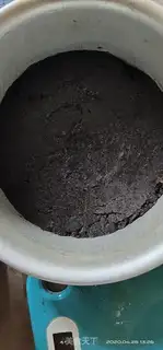 Make Mangomus step 3