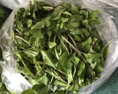 Make The method of saving wild vegetables step 0