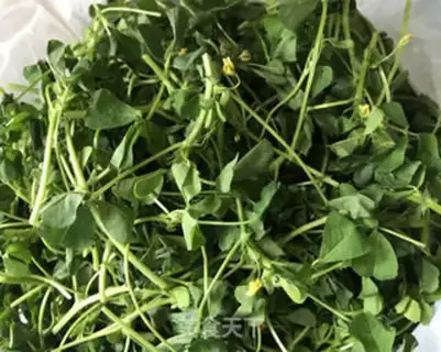 Make The method of saving wild vegetables step 1
