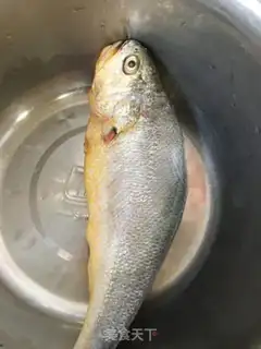 Make Snack step 0