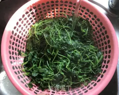 Make The method of saving wild vegetables step 8