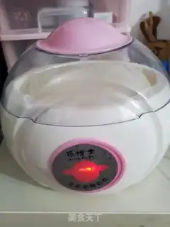 Make Homemade yogurt step 6