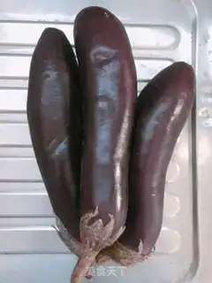 Make Eggplant step 0