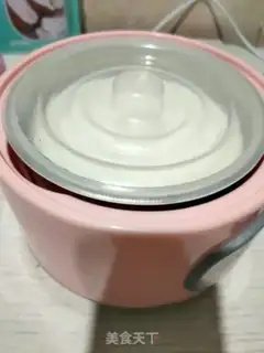 Make Milk yogurt step 4