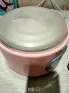Make Milk yogurt step 5