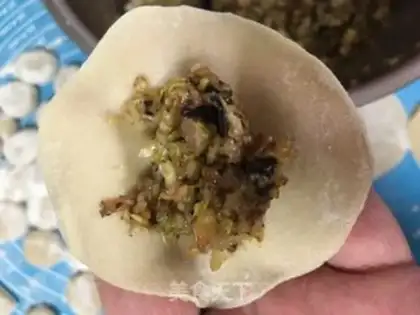 Make All-martial mushroom dumplings step 8