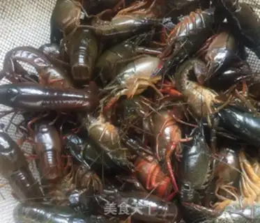 Make Spicy lobster step 1