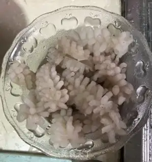 Make Scrambled fish flowers step 0