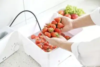 Make Sweet strawberry shakes step 1