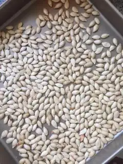 Make Pumpkin seeds step 0