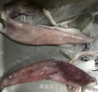 Make Squid step 0