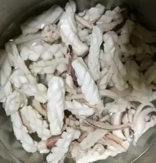Make Squid step 1