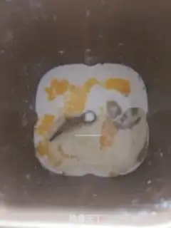 Make Corn oil toast step 0