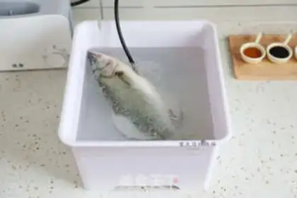 Make Vacuate herring step 1