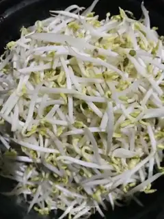Make Sour sprouts step 0