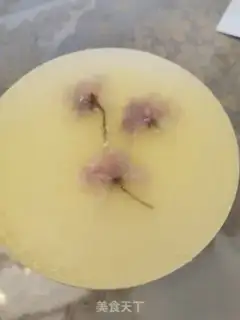 Make Mangomus step 13