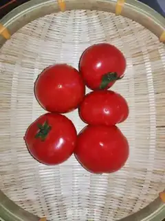 Make Sugared tomatoes step 0