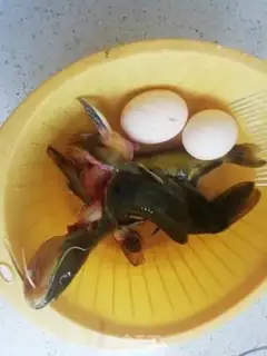 Make Skull fish egg soup step 0