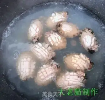 Make The abalone step 5