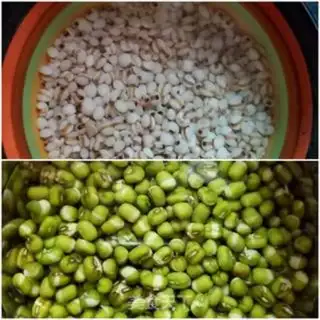 Make Green bean sugar step 0