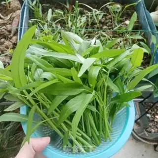 Make Garlic organic cabbage step 1