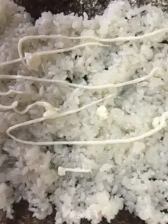 Make Sushi step 4