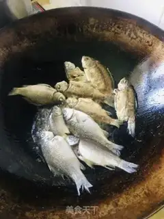 Make Squidfish step 0