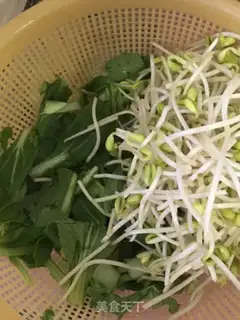Make Bean sprouts step 0