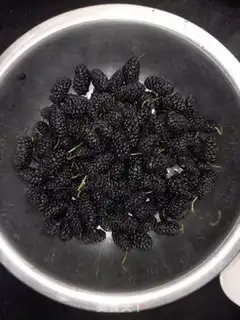 Make Sancho jam step 0