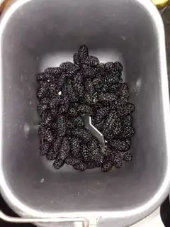 Make Sancho jam step 1