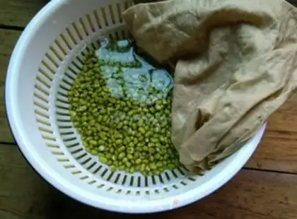 Make Green bean sprouts step 0