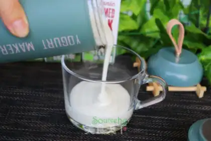 Make Homemade yogurt step 6