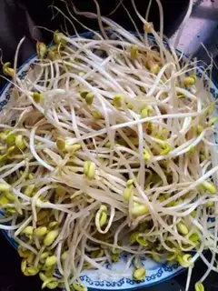 Make Hot pepper sprouts step 0