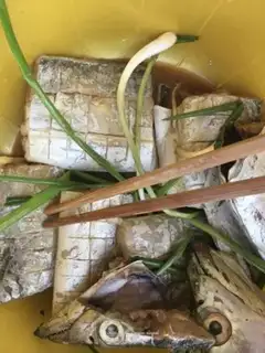 Make Jell-O fish step 8