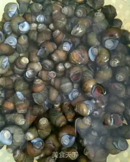 Make The snail step 0